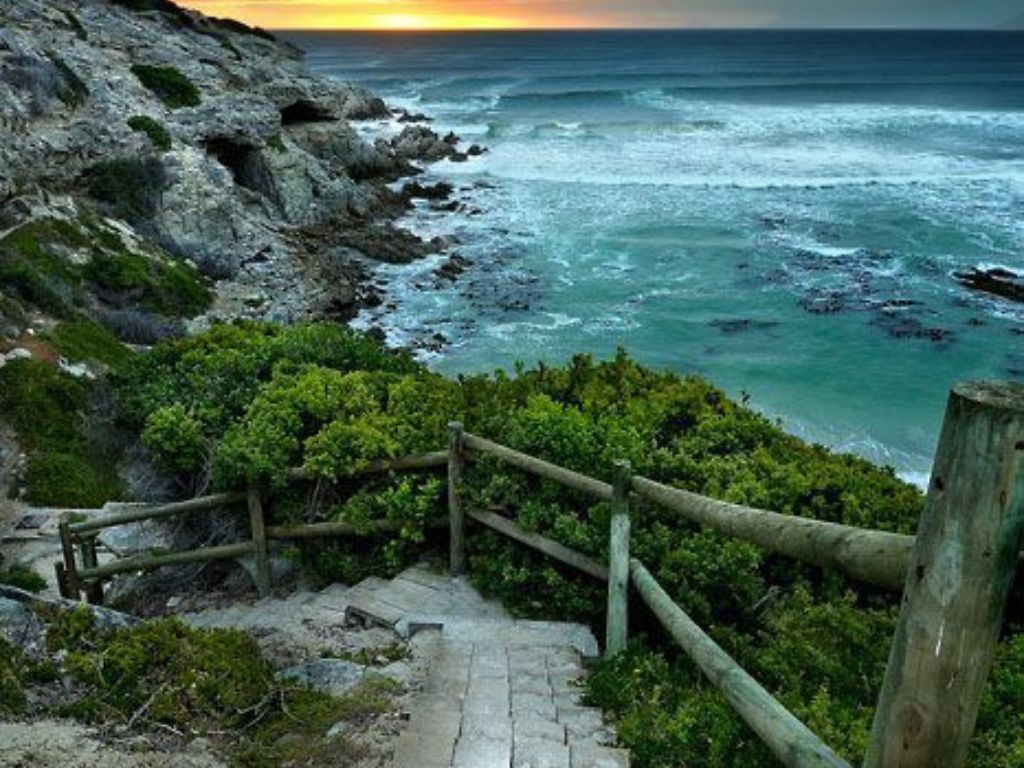 2-Day Scenic Garden Route Safari from Cape Town