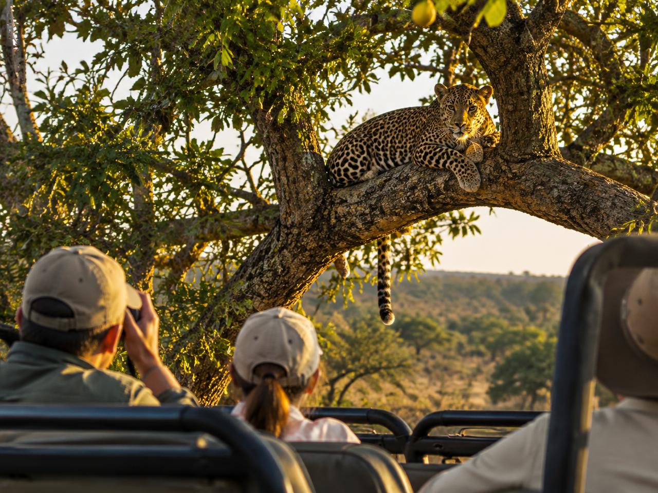 3-Day Authentic Sabi Sands Big Five Safari