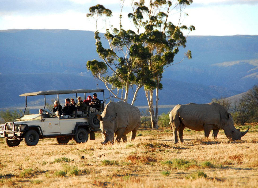 3-Day Cape Town Wildlife Getaway
