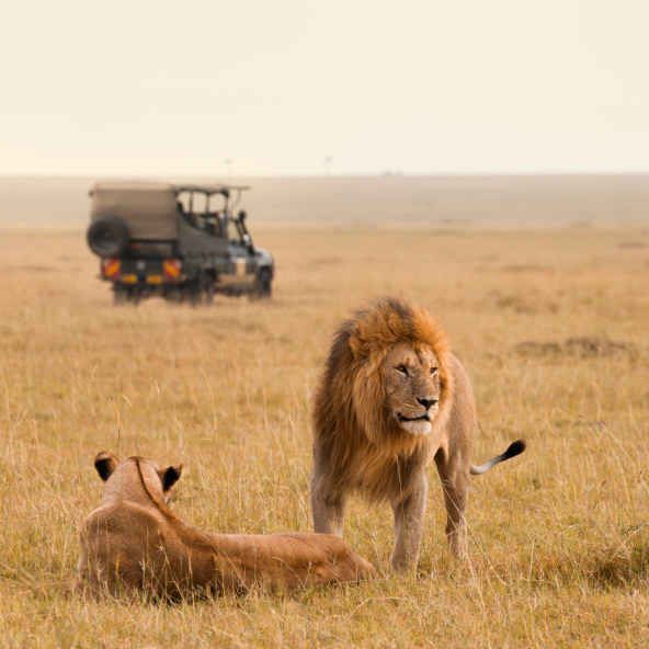 3-Day Kruger Park & Scenic Panorama Route Safari