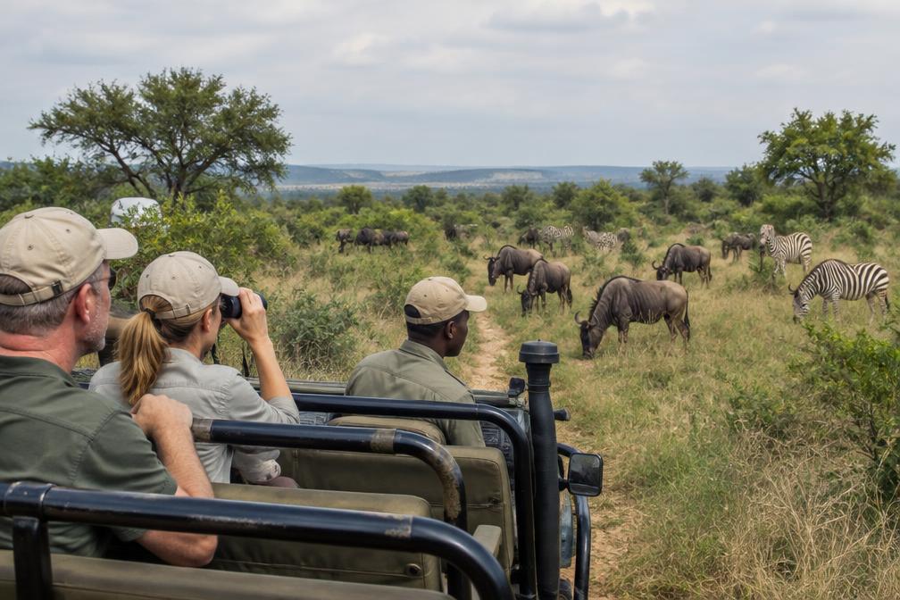 ½-Day Guided Mid-Morning Safari in Dinokeng Game Drive
