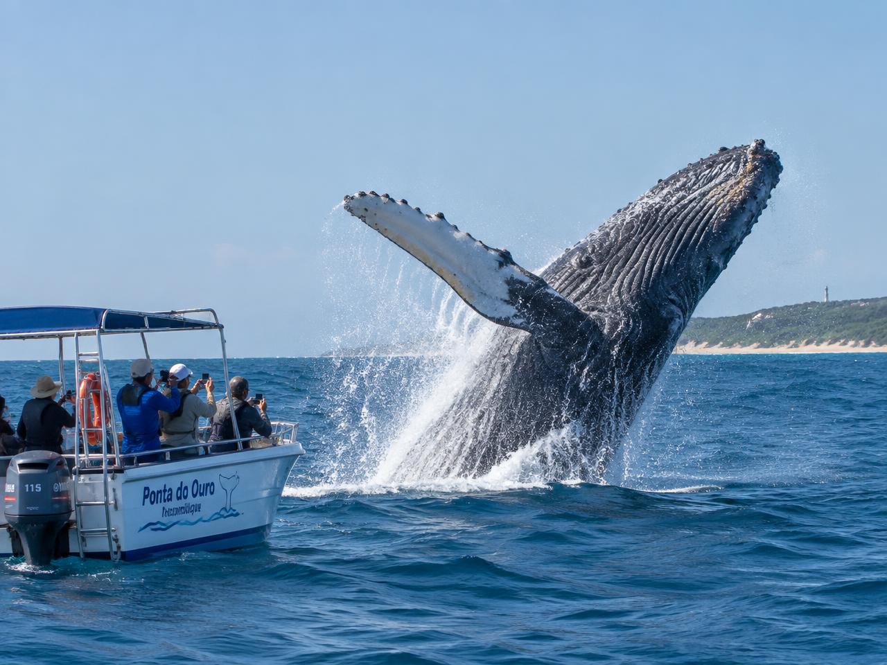 3-Day Ponta do Ouro Tour from Eswatini