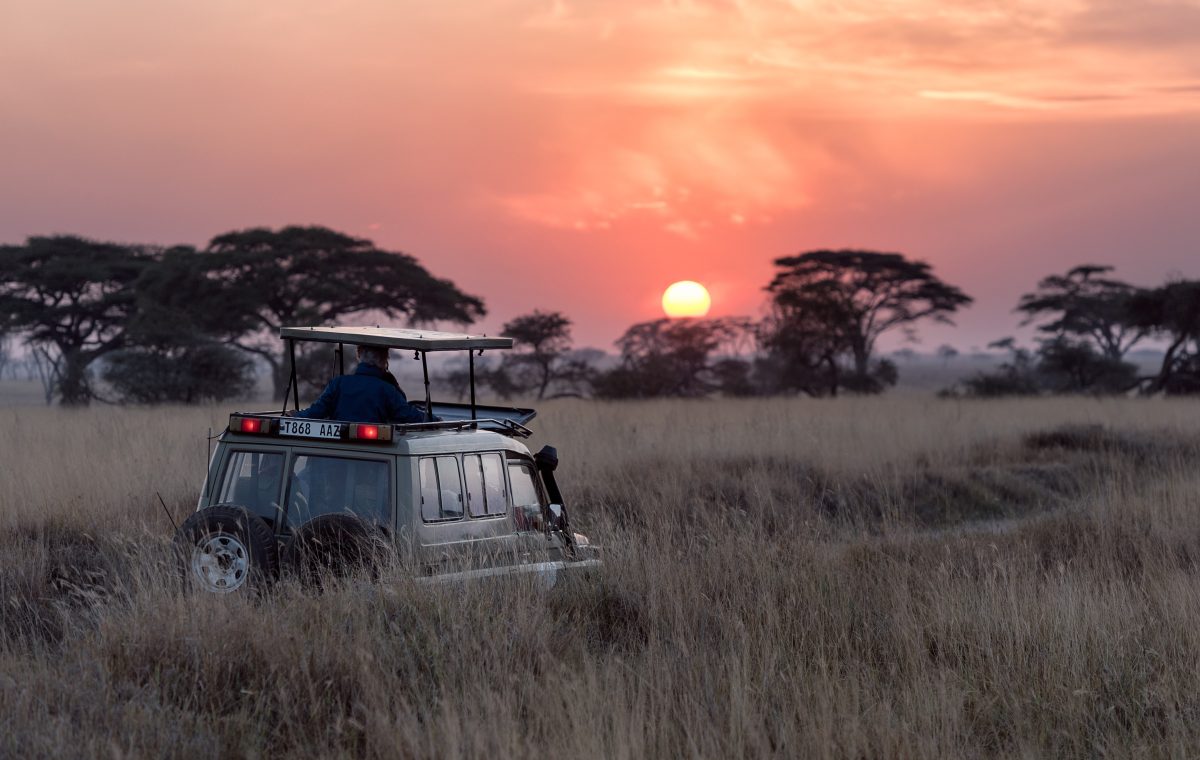 Atardecer desde un vehículo de safari