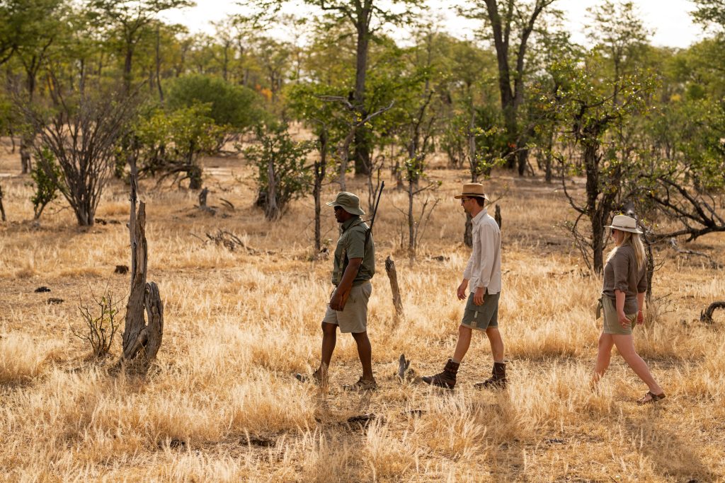 safari walk at Machaba Lodge