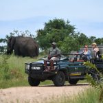 family friendly safaris