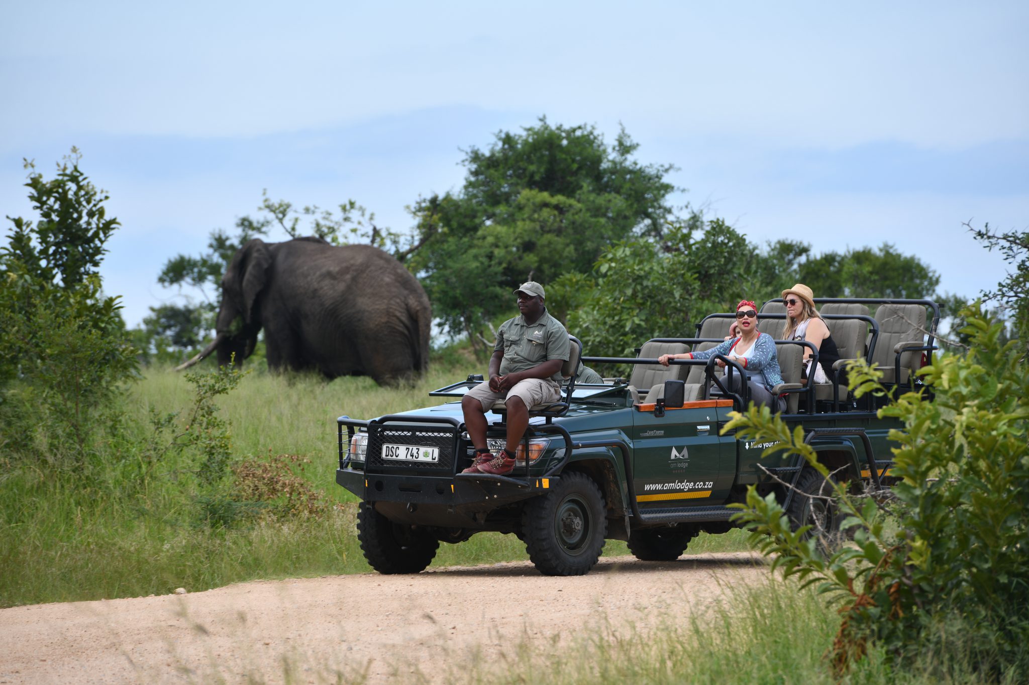 Family-friendly safari in South Africa