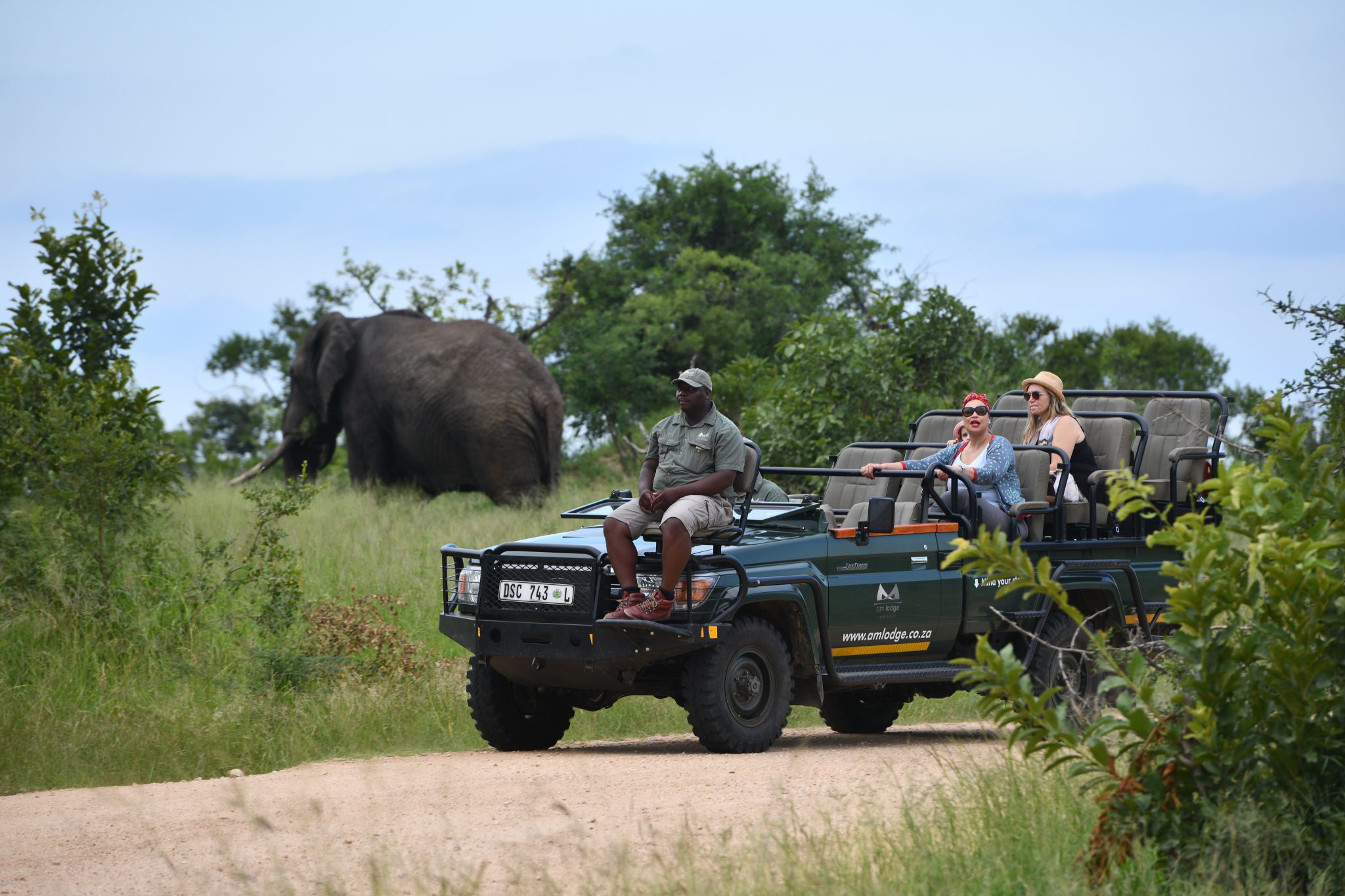 family friendly safaris