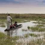 okavango delta safari