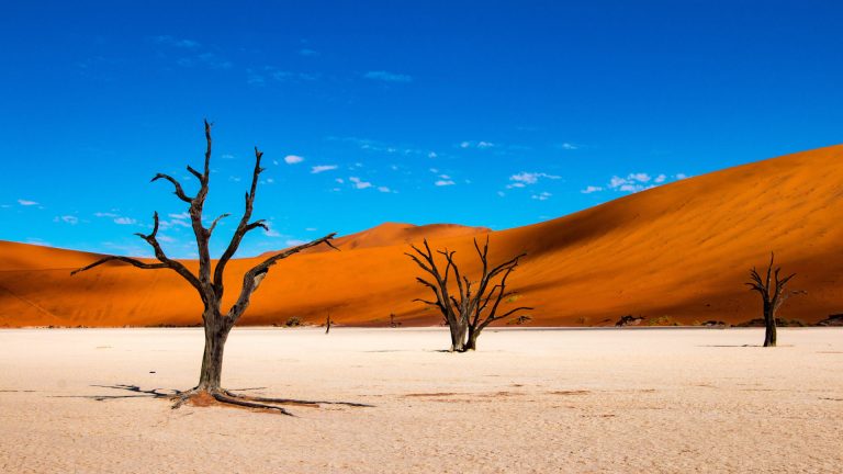 Sossusvlei Dunes experience