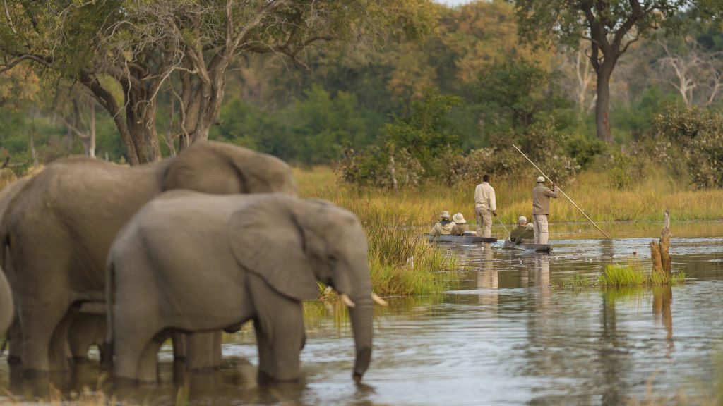 Mokoro Safari Experience