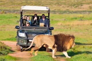 Garden Route Game Lodge