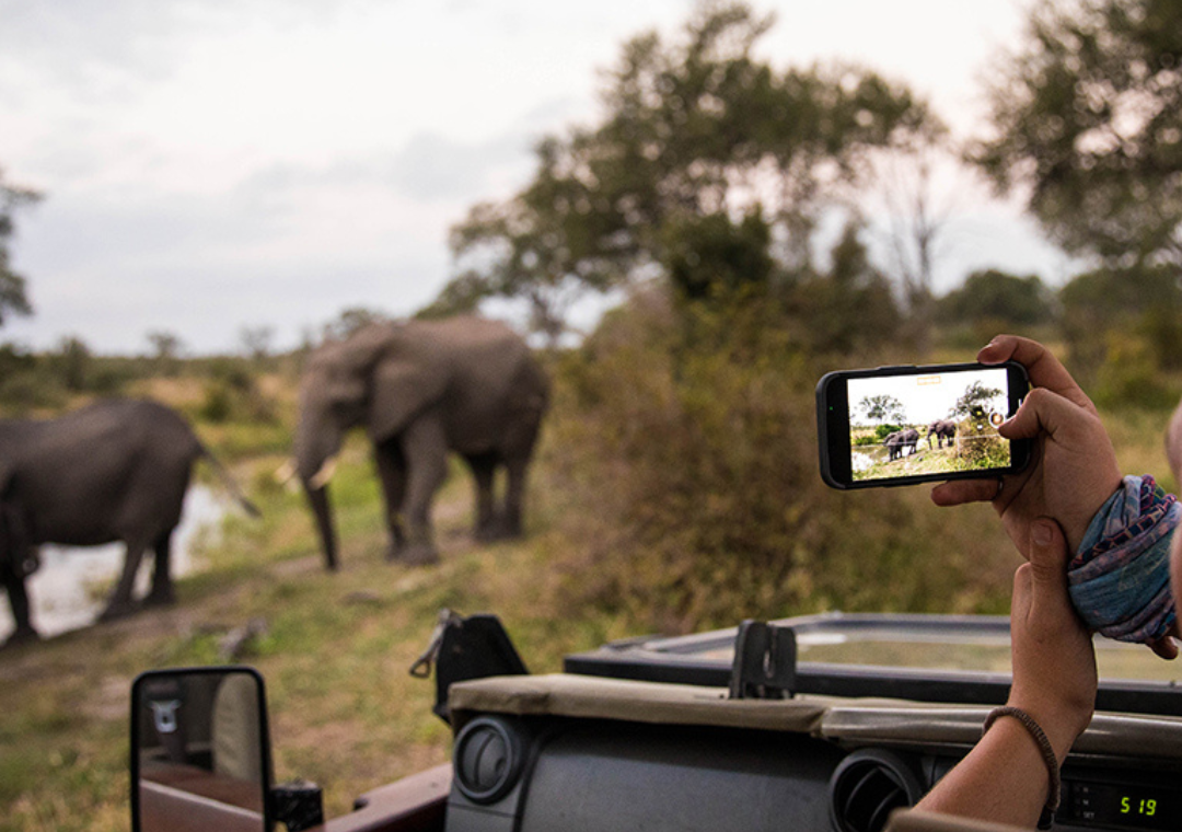 Un safari en Sudáfrica