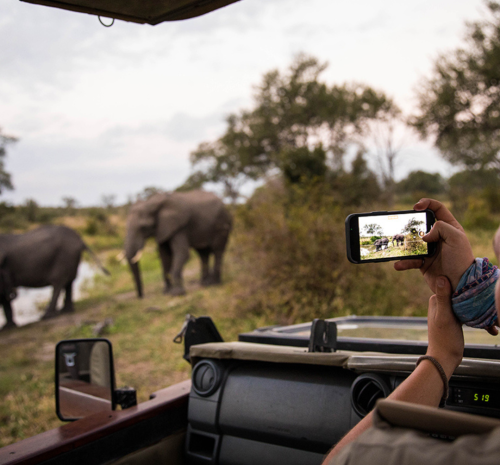 safari in South Africa