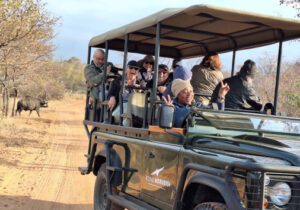 Group safari