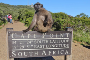 Cape Point