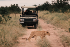 Game drive