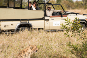 Game Drive