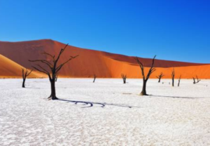 Sossuvlei Dunnes