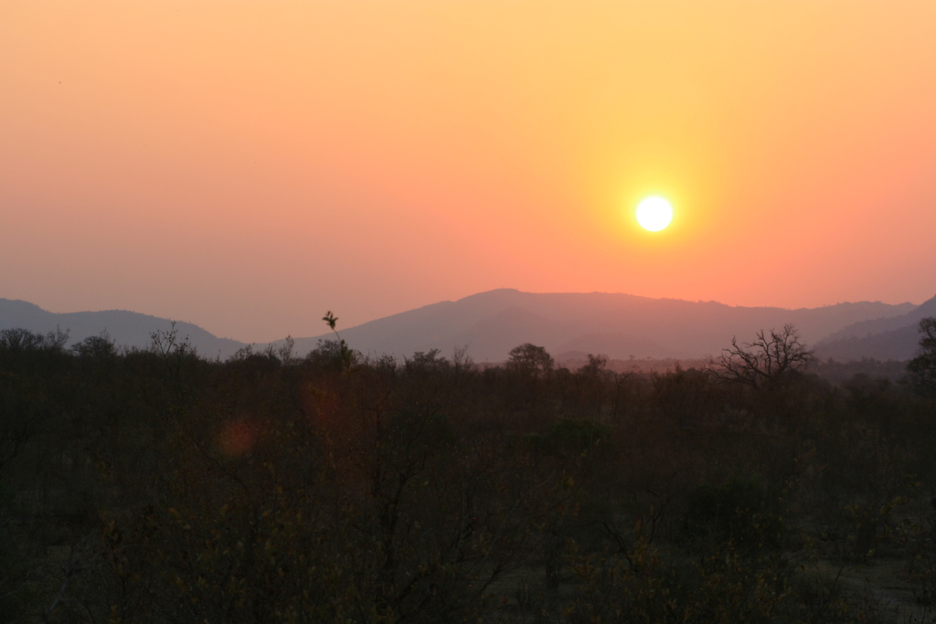 Sunset on South African Safari