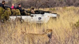 Game drive in South Africa