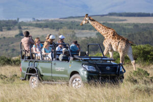 Gondwana Game Reserve garden route