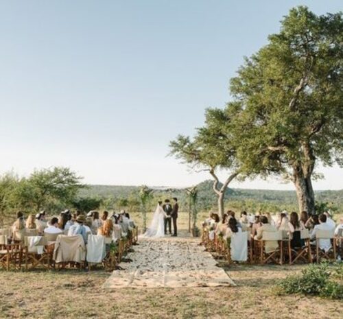 safari weddings