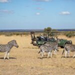 Family Safaris in South Africa