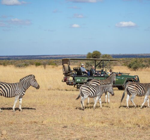 Family Safaris in South Africa