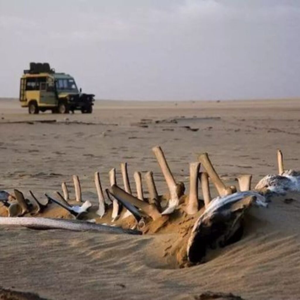 Skeleton Coast namibia travel