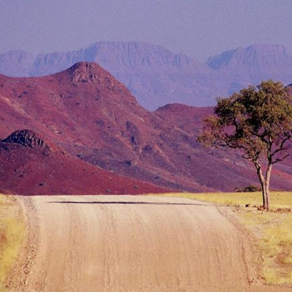 Damaraland Namibia Safari