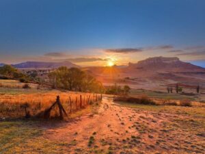 Landscape in an overlooked safari destination.