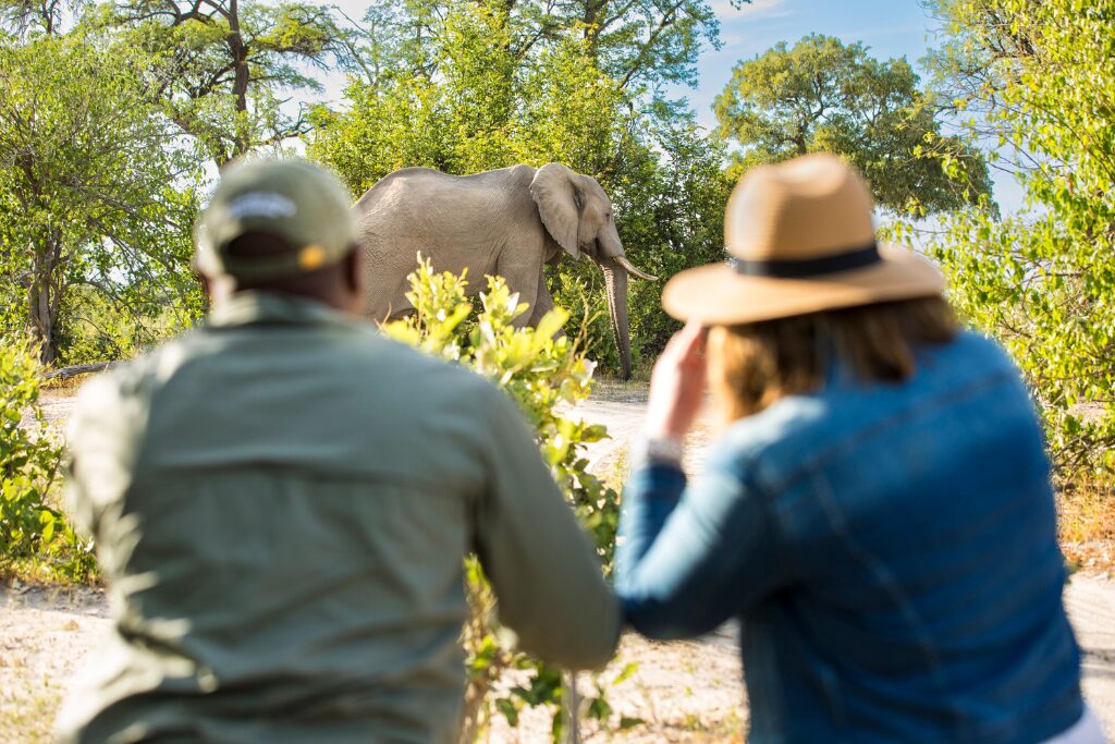 safari in Botswana