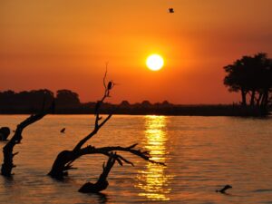 Okavango Delta