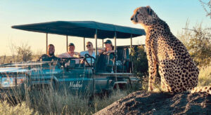 Luxury Safari