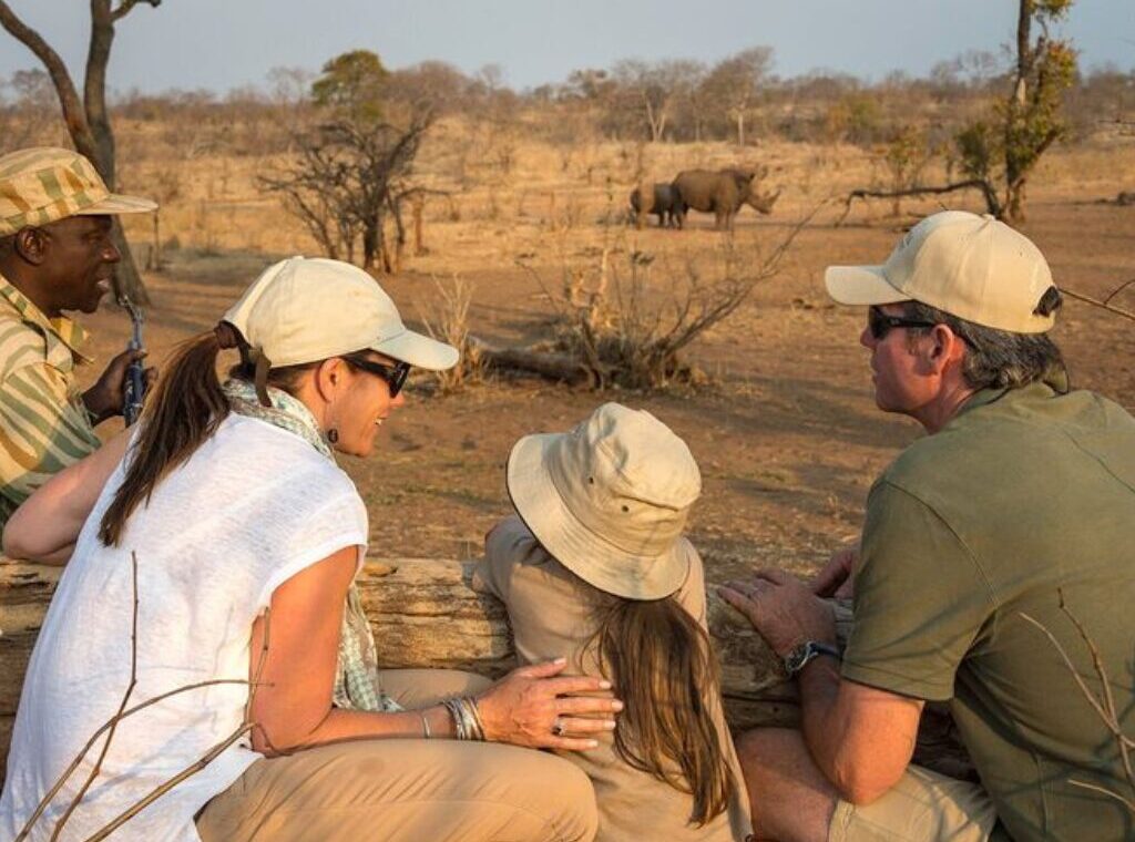 How to book a safari