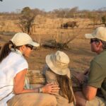 How to book a safari