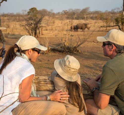 How to book a safari