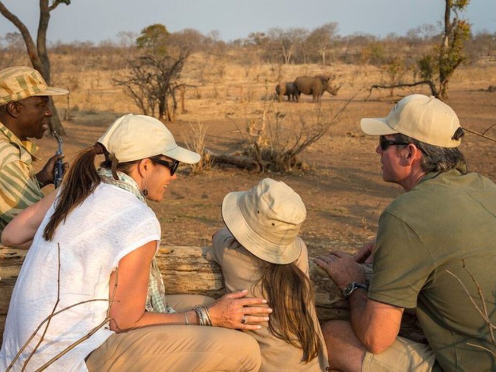 How to book a safari