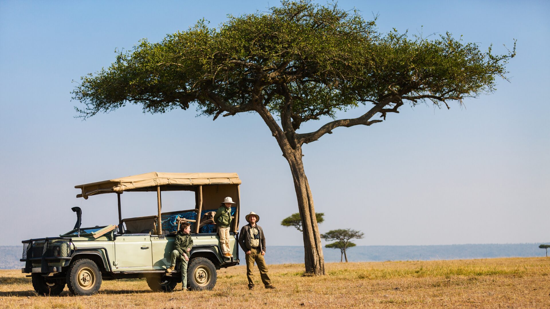 Budget-friendly safari adventure in South Africa