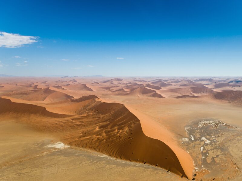 Namibia’s desert wildlife