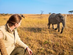 African safari adventure for U.S. and Canadian tourists