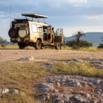 Safari vehicles in a predator-rich reserve offering close encounters with big cats like lions, leopards, and cheetahs.