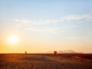 Golden hour light washing over the Namib sandscape
