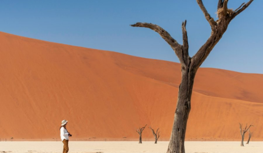 10-Day Namibia Explorer: Dunes, Wildlife & Cultural Highlights