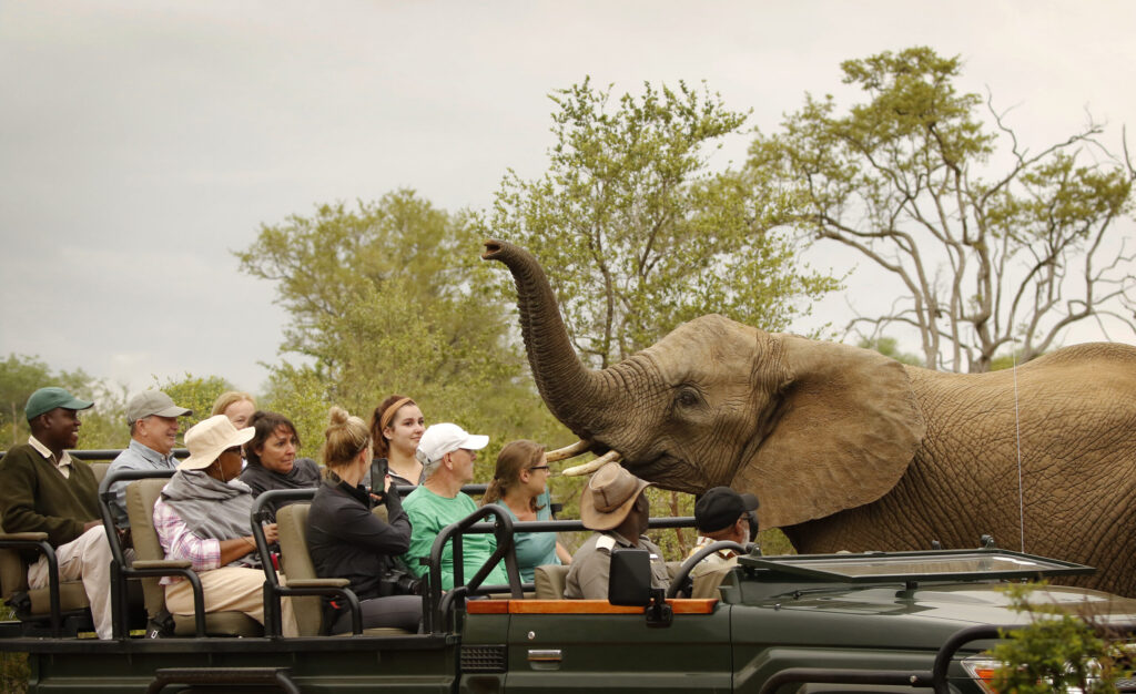 ½-Day Windhoek Wildlife & City Adventure with Lunch