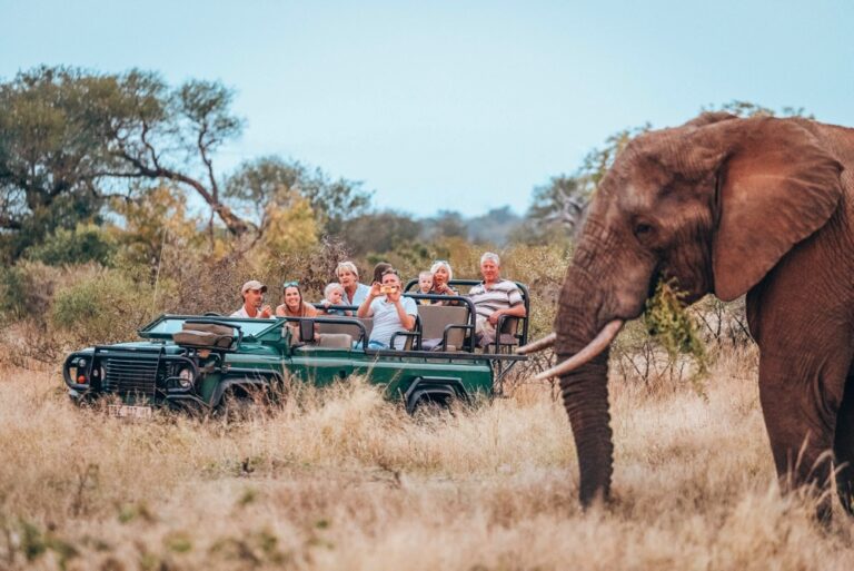 4-Day Luxury Big Kruger & Panorama Safari