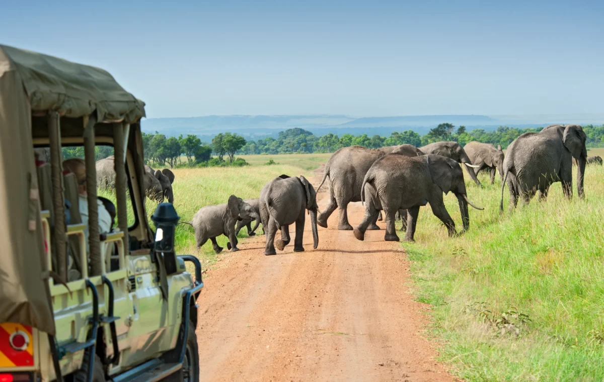 Big Five Kruger & Scenic Panorama Adventure