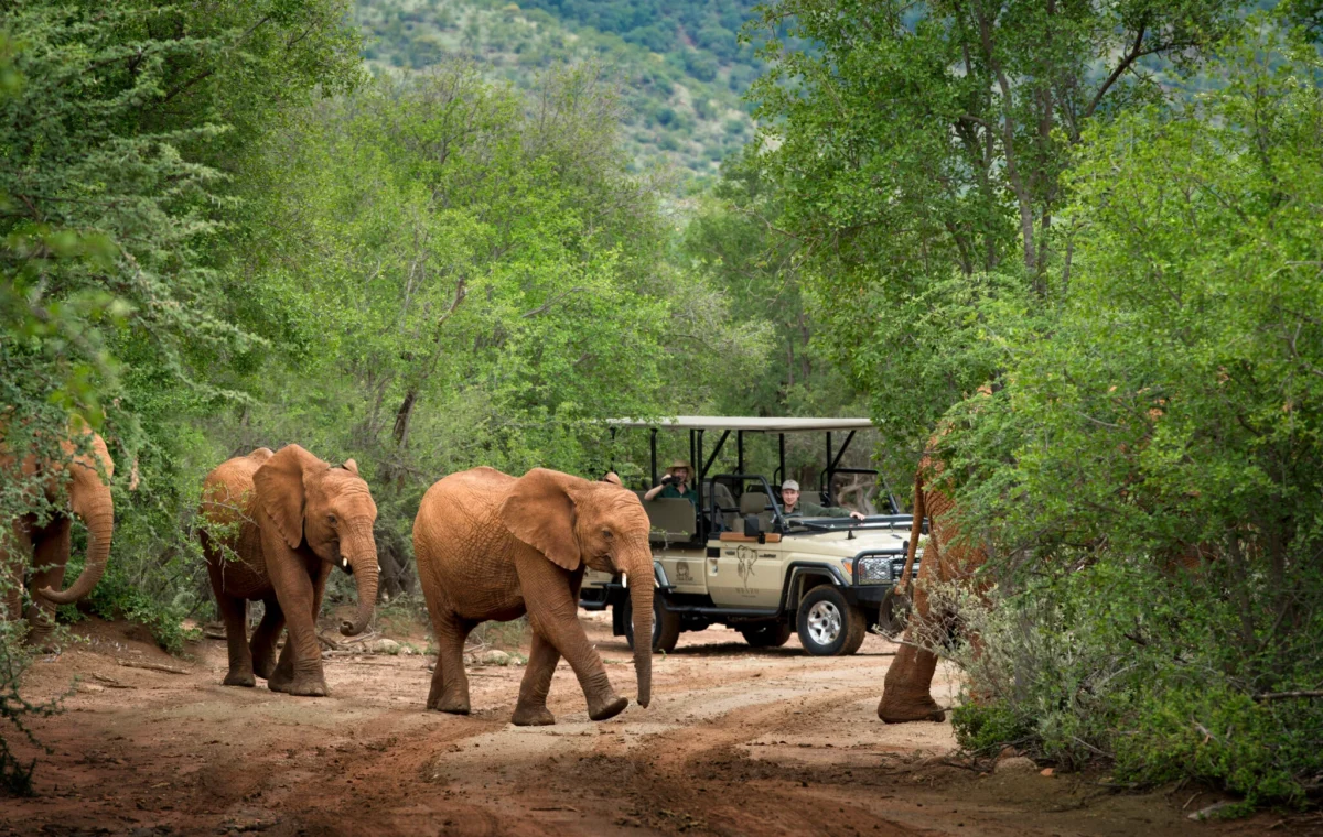 7 day South African itinerary