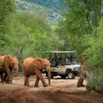 7 day South African itinerary