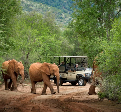 7 day South African itinerary